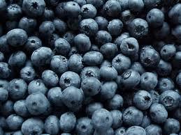 Blueberry Fruit