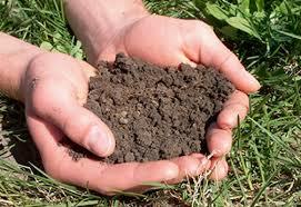 Soil Testing