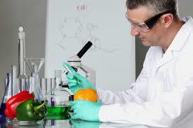 Sweeteners Testing Services
