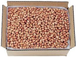 JAVA RED SKIN PEANUT OIL SEED
