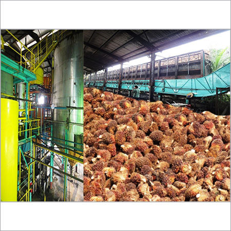 Palm Oil Mill
