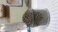 PPS Granules