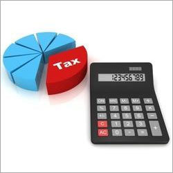 Professional Tax Consultancy Services