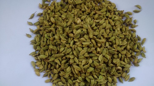 Cardamom