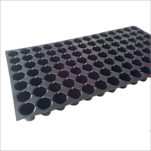 Seedling Trays
