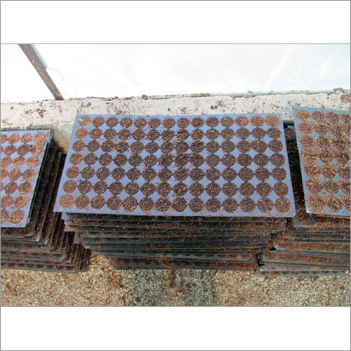 Coco Peat