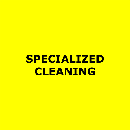 Specialized Cleaning