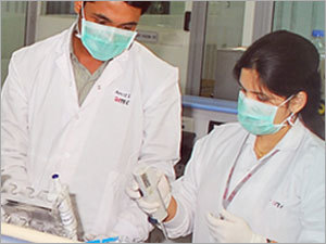 Analytical Research