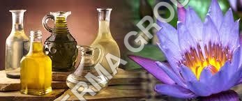 Natural Shamama Tul Amber Attar