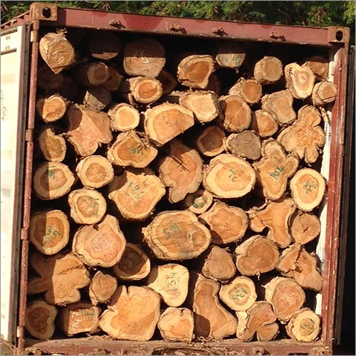 Teck Woods