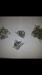 Wooden Screws