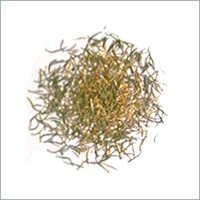 Silver Needle