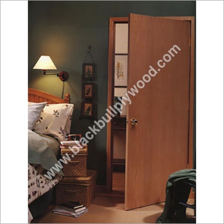 Flush Door