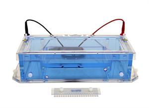 Paper Electrophori's Apparatus - Acrylic Plastic, Horizontal Migration Cell | Platinum Electrodes 99.9% Purity, Optional Gel and Micro Cutters