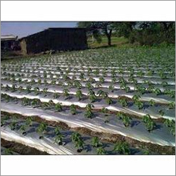 Mulching Sheets