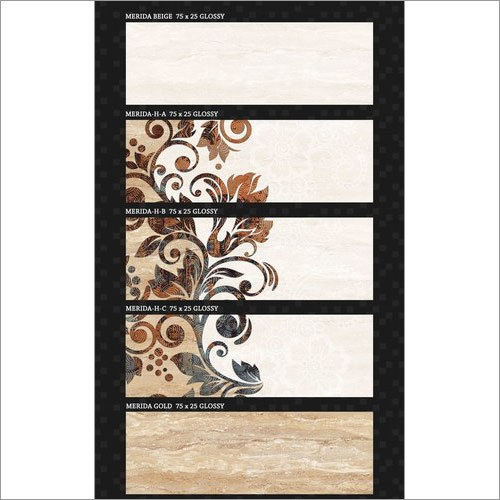 Ceramic Tiles 250x750 mm