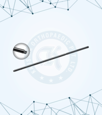 Nut Holder Elastic