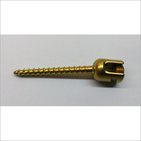 Percutaneous Pedicle Screw