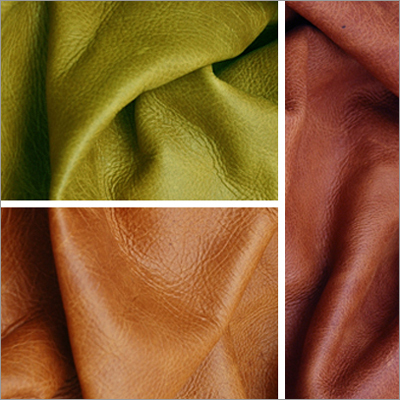 Sheep Leather