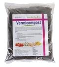 Vermicompost Fertilizer