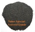 Seaweed Extract