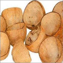 Coconut Shell