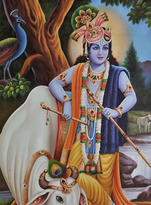 SANTANA VENU GOPALA POOJA SAMAGRI
