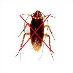 Cockroach Control Services