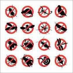 Ultrasonic Pest Control Services