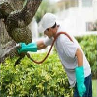 Herbal Pest Control Services - Herbal Extracts, Epa Compliant | Eco-friendly, Professional Team, Prompt Reliable Service