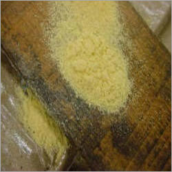 Wood Borer Control Service