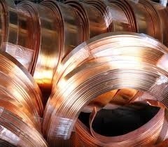 Copper Earthing Strip