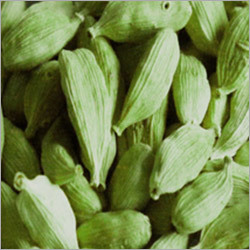 Indian Cardamom