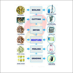 Cashew Kernel Processing Machine