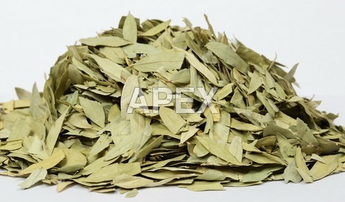 Senna Leaves