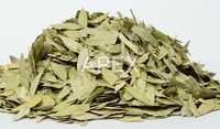 Senna Leaves