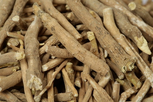 Ashwagandha Roots Ingredients: Herbs