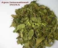 Gymnema Leaves