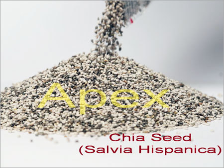 Chia Seeds (Salvia Hispanica)