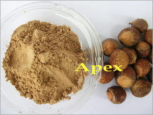 Soapnut Pods Ingredients: Soap Nut