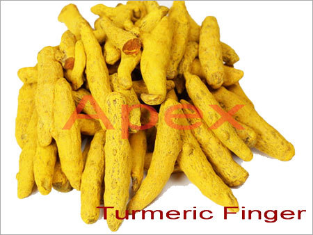 Yellow Turmeric Finger