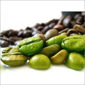 Coffee Bean Extract