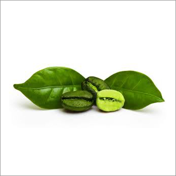 Green Coffee Extract