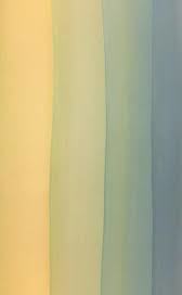 Ombre Organza
