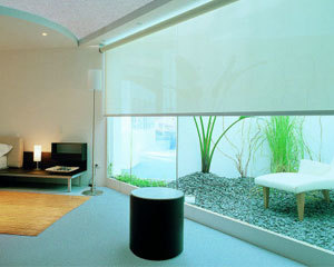 Motorized Blinds