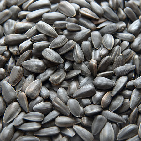 Sunflower Seed
