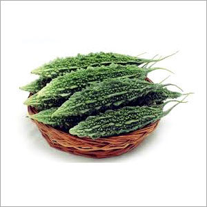 Bitter Gourd Seeds