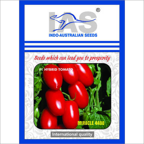 Tomato Seeds