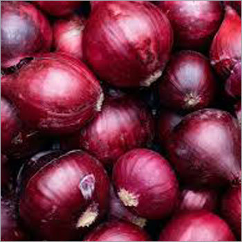 Onion