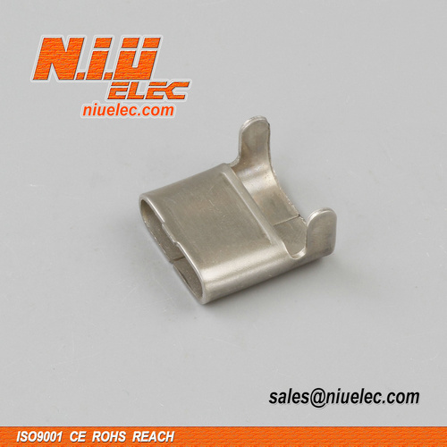Stainless Steel Band and Buckles